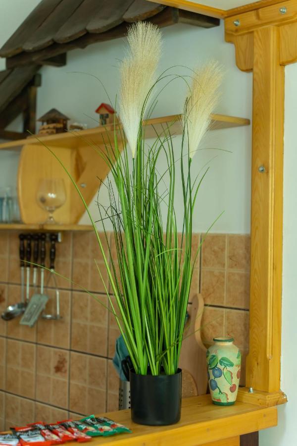 Heart Of Zemun Appartement Belgrado Buitenkant foto